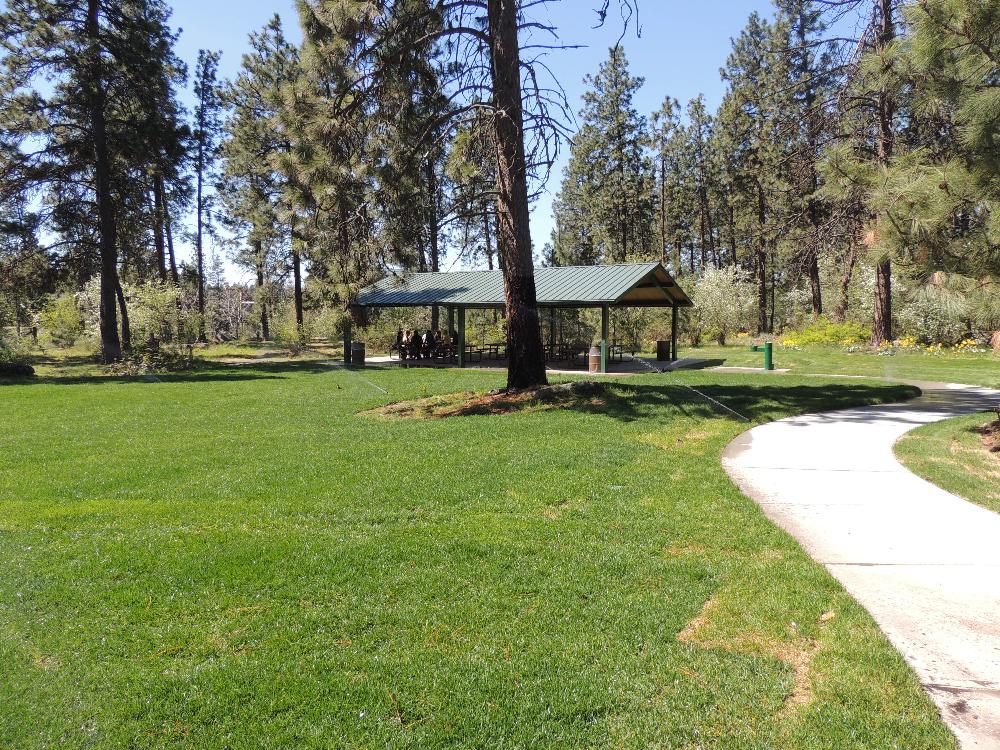 Sullivan New Shelter