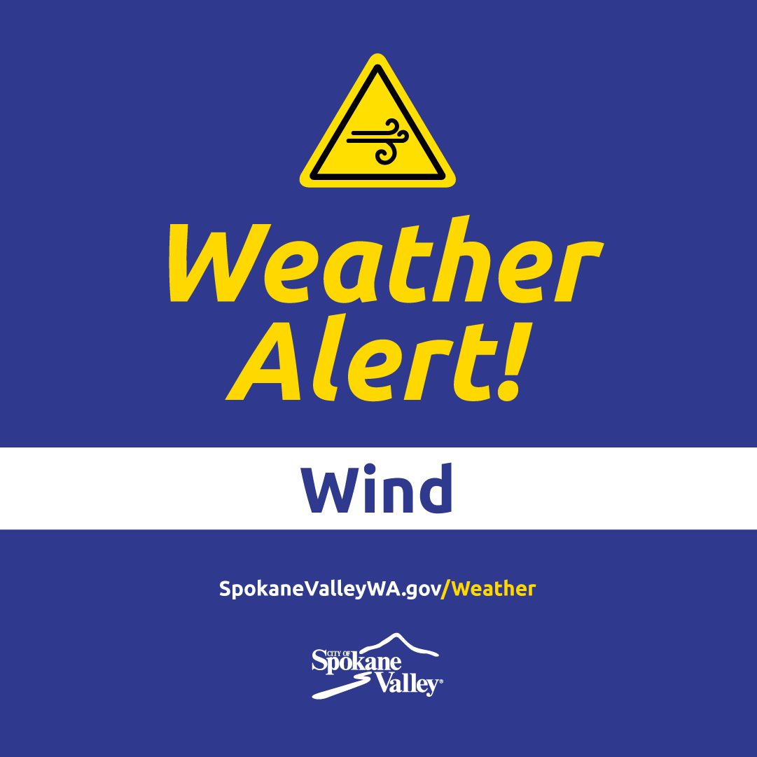 blue image that reads 