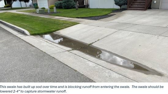 Photo of sod in a swale that has built up and is blocking runoff